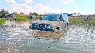 ГЕЛИК МЕНЕДЖЕРА АНТОНА спасает TOYOTA PRADO