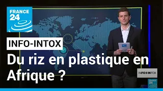 Du riz en plastique en Afrique ? • FRANCE 24