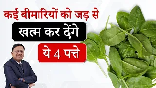 कई बीमारियों को जड़ से खत्म कर देंगे ये 4 पत्ते | 4 Medicinal Leaves For Good health | SAAOL