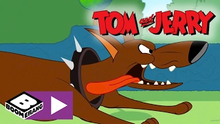 Tom & Jerry | Tom i trøbbel | Boomerang Norge