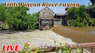 Pigeon Forge raging waters the Old Mill LIVE Smoky Mountains