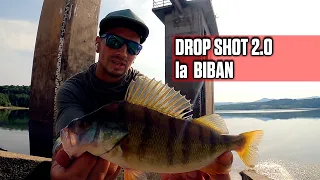 Am PESCUIT cu DROP SHOT la BIBAN si am avut super rezultate.