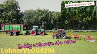 LohnerVLOG#294 Die Oldtimer geben Gas im Gras I IH 856 XL mit Kuhn Wurmschwader I Fendt Favorit 818