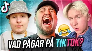 REAGERAR PÅ TIKTOK: VAD I GUDS NAMN PÅGÅR *HAHAHAH*