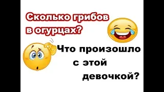 Сколько грибов в огурцах? Что случилось  с девочкой?