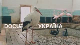 DOCU/УКРАЇНА / DOCU/UKRAINE