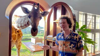 The famous giraffe hotel in Africa : Is it worth spending SO MUCH ?