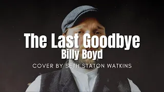 The Last Goodbye (Cover) by Seth Staton Watkins