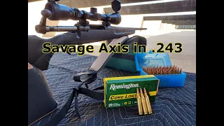 Savage Axis in .243