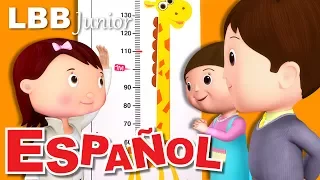 ¿Cuánto mides tú? | Canciones infantiles | Canción original de LBB Junior