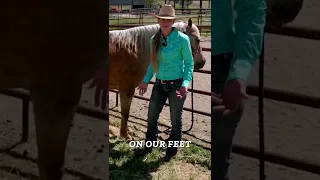 What to do When a Horse Stands on Your Foot #shorts