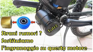 Strange noises, loses power? How to replace the BLUE gear on the Ebike TSDZ2 electric motor