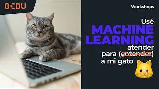 Usé Machine Learning para atender a mi gato😺💻