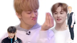 Mark Lee is a disaster but that's why you like him