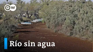 Se seca el segundo río más largo de Sudamérica