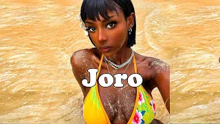 [FREE] Afrobeat Instrumental 2023 Burna Boy type beat Ft Rema Type Beat ✘ Afrobeat Type Beat "Joro"