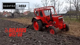 MTZ 50 Szántás 2022 | MTZ 50 kert szántás