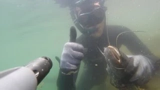 підводне полювання