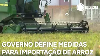 Governo Federal define parâmetros para importação de arroz