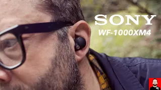 Sony WF-1000XM4 (vs. Apple AirPods Pro) - an AUDIOPHILE's perspective