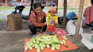 Yen Nhi harvests the first corn crop of the season and sells it for extra income