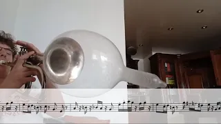 Super Mario Bros Condom Trumpet Transcription