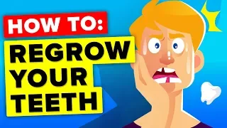 Here Is How You Regrow Your Teeth (It’s Happening Right Now)