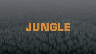 The Blaze x Endel - JUNGLE (Wind Down Soundscape)