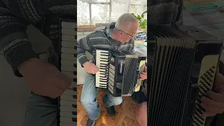 Weltmeister accordion, 3/4 accordion, 80 Bass, 34 keys, 3 voices, 5+3 registers, You can buy it