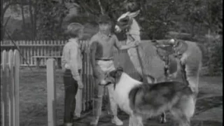 Lassie - Episode #302 - "A Career for Lassie" - Season 9, Ep. 11 - 12/16/1962