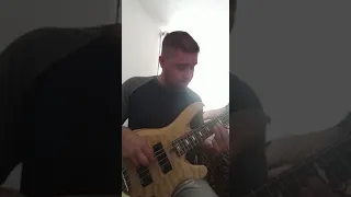 Gustavo lima Bass cover fala mal de mim.