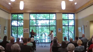 Symphonic Masterworks performed by the Slapin-Solomon Viola Duo