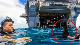 What Happens When Sharks Swim To Close To US Aircraftcarrier! SHOCKS