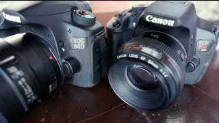 Canon 60D vs T4i