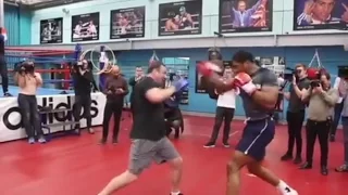 Anthony Joshua EXPLOSIVE Pad Work!! Is Klitschko Getting KO???