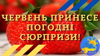 В Укргідрометцентрі розказали, яка погода чекає на українців у червні