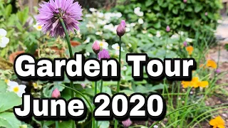 Garden Tour June 2020