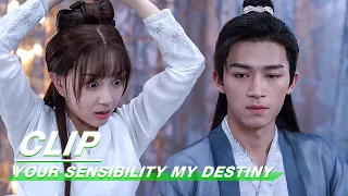 Clip: You Have To Sleep With Me | Your Sensibility My Destiny EP02 | 公子倾城 | iQiyi