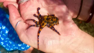 Women Unwittingly Take Photos Holding Deadly Octopus