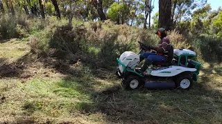 Orec Rabbit demo on gorse