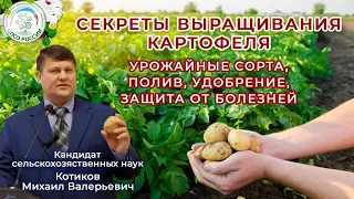 Картофельный секрет: все о выращивании, удобрении, поливе, урожайных сортах и защите от болезней