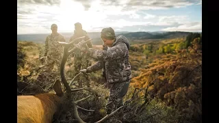 An Elk Hunt of a Lifetime