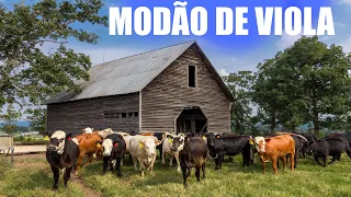 RECANTO DA VIOLA CAIPIRA - Um Passeio pra voltar no tempo  (Caba Não Mundão) Sertanejo Raiz