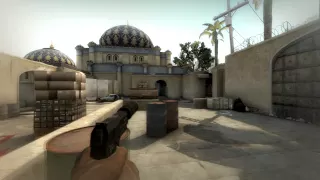 [CS:GO] ACE USP-S