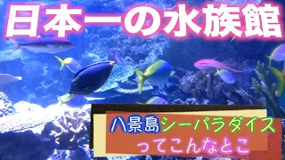 【日本一の水族館】神奈川県：八景島シーパラダイスのここが凄いっ！