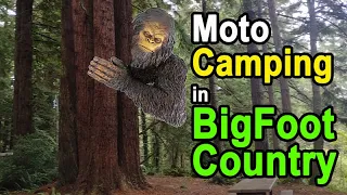 Motorcycle Camping in Bigfoot Country outside of Willow Creek, California