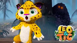 Leo e Tig ⭐  O Mistério da Floresta Queimada ⭐ Desenhos Animados Engraçados Para Crianças