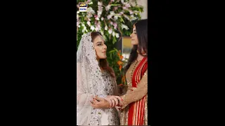 Teri Rah Mein  BEST SCENE  Zainab Shabbir  Shazeal Shoukat #SHorts