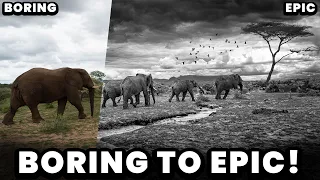 Photoshop AI and Lightroom: Retouching a BORING into EPIC photo using new 2023 features