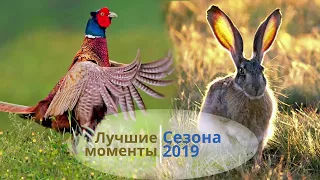 Лучшие моменты сезона охоты 2019